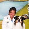 If you want to teach your dog to swim on your own, remember to get them a life jacket. Advanced Animal Care Of Colorado Linkedin