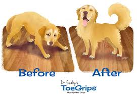 What Are Toegrips Dr Buzby S Toegrips For Dogs