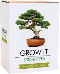 Check spelling or type a new query. Gift Republic Grow It Grow Your Own Bonsai Trees Amazon De Garten