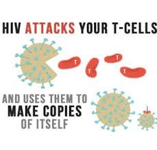Pin On Viral Diseases