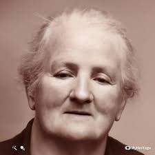 Stiven Family of New Zealand and Australia