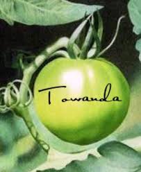 Evelyn Couch Towanda Righter Of Wrongs Queen Beyond Compare Fried Green Tomatoes Fried Green Tomatoes Fried Green Tomatoes Movie Green Tomatoes
