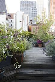 After growing it for almost 15 years in my home garden and visiting/interviewing a number of growers and lavender farms, i have to say that it can look gorgeous in your garden for a whole lot longer, with just a bit or care. Landscaping Ideas 11 Lavender Gardens Around The World Gardenista