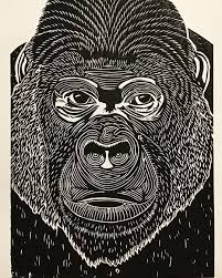 Sammlung von abovetheclouds • zuletzt aktualisiert: Gorilla Affe Monkey Primates Linoprint Linocut Linolschnitt Linoldruck Printart Druckkunst Handprinted Linoldruck Linolschnitt Linol