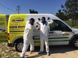 Are you are looking for termite control in columbia sc? Clark S Pest Control Clarkspest Pest Control Pests Clarks