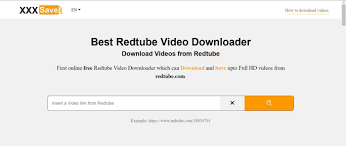 Review of the Top 10 Redtube Downloaders: Download Porn from Redtube for  Offline Viewing