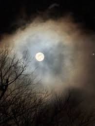 The super wolf moon brings changes - Adirondack Almanack