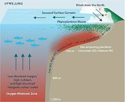 Following that, the water supply is expected to be restored completely on 12 october 2018. Ocean Acidification Wikipedia
