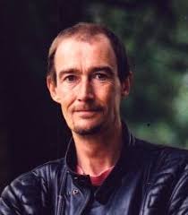 What are the wires next to the CDI