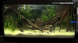 Discus Biotope Blackwater Riparium Elos 120 Discus Aquarium Discus Tank Blackwater