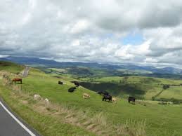 Gov.wales uses cookies which are essential for the site to work. Www Motourismo Com System Images 28763 Medium S