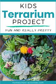 Maybe you would like to learn more about one of these? How To Make A Terrarium With Kids