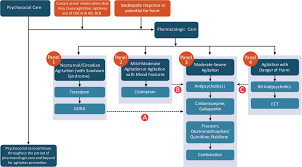 Image result for Agitation Management
