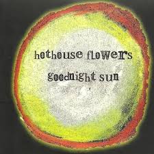 In september 2007, he released an album with his other band prenup. Hothouse Flowers Don T Go Lyrics Genius Lyrics