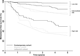A propensity score matching study based on the seer database. Uk Multicenter Prospective Evaluation Of The Leibovich Score In Localized Renal Cell Carcinoma Performance Has Altered Over Time Urology