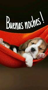 ⭐no sé si ir a dormir o a correr….creo que encontré la solución: Pin De Magdis En Frases Bonitas Cartelitos De Buenas En 2021 Cartelitos De Buenas Noches Dulces Suenos Amor Buenas Noches