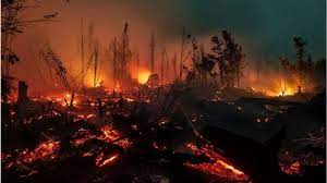 Pencemaran udara dapat mengakibatkan dampak pencemaran udara bersifat langsung dan lokal, regional, maupun global atau tidak langsung dalam kurun waktu lama. Kebakaran Hutan Polusi Udara Palangkaraya Tembus 20 Kali Lipat Batas Normal Bbc News Indonesia