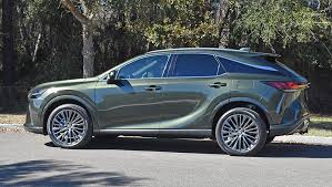 Image result for Nori Green 2023 UX