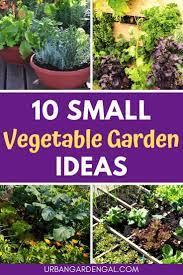 10 Small Vegetable Garden Ideas Small Vegetable Gardens Container Gardening Vegetables Backyard Vegetable Gardens