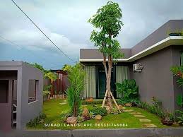 Selain itu, sebagain masyarakat juga memercayai bahwa pohon palem dapat memberi keberuntungan bagi pemilik rumah. Taman Samping Rumah Minimalis Taman Surabaya Desain Taman