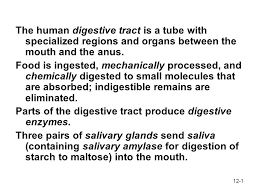 Parts Of The Digestive Tract Produce Digestive Enzymes