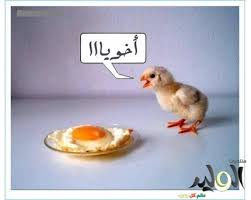 Résultat de recherche d'images pour "‫صور مضحكة‬‎"