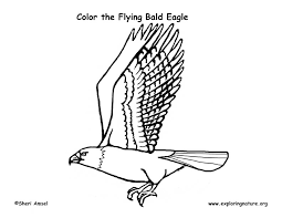 Surrounded by enormous mountains, the bald eagle is enjoying its flight across the. Eagle Bald Flying Coloring Page