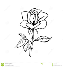 Realistic Rose Drawing Outline Realistic Rose Drawing Red Rose Drawing Rose Drawing