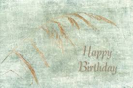 Birthday cake watercolor birthday congratulation birthday cake on face birthday cake face happy birthday happy birthday cake blue woman friends birthday birthday cake friends friends celebrate. 41 Happy Birthday Nature Image Images