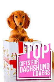 Dachshund Gifts Unique Gift Ideas For All Lovers Of Dachshund Dogs Dachshund Lovers Dachshund Gifts Dachshund