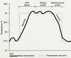 The Causes And Treatment Of Fever A Literature Review