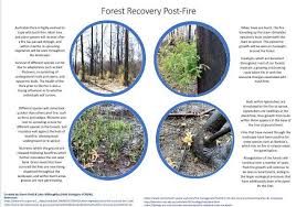 Jump to navigation jump to search. Forestry Ecologist Were Informing Us Ulong General Store Cafe In The Valley Facebook