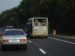 Scenic view of desert during sunset. Camel Trailer Mapio Net