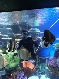 Diver Amy Hand Feeding Fish In The New Polynesian Exhibit Oklahoma Aquarium Under The Sea Aquarium