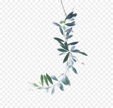 Watercolor Painting Olive Branch Green Leaves Bunga Grafis Pengeditan Foto