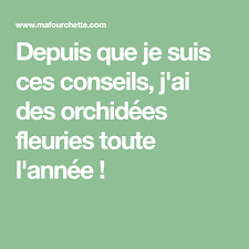 Elle Ajoute Toujours Des Pelures De Pomme A Son Orchidee La Raison Est Brillante Orchidee Idee Jardinage Planter Des Fleurs