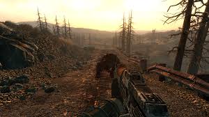 Risultati immagini per Fallout