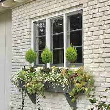 Pin On Lemon Cypress Plants For Containers