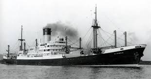 Image result for Blu 1968 Fleet