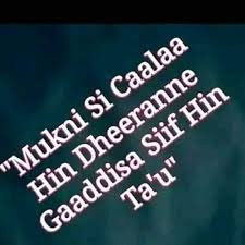 Keekiyaa badhanee / extreme blog keekiyaa badhanee new oromo oromia music 2016 keekiyyaa badhaadhaa shaggooyyee youtube ethiopian music keekiyaa badhaadhaa sinyaachisa new. Haroo Haramaaya Posts Facebook