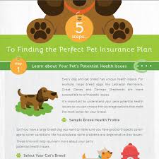 Check spelling or type a new query. Infographic For Pet Insurance Infographic Contest 99designs