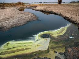 Water Pollution: The Invisible Threat The World Is Ignoring