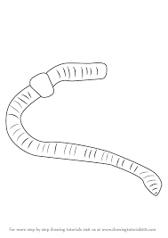 Maybe you would like to learn more about one of these? Easy Drawing Of Earthworm Novocom Top