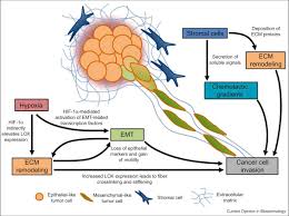 Impact Of Nanotechnology On Diagnosis And Therapy In Biomedical Industry Sciencedirect
