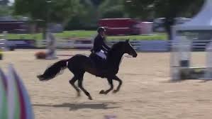 Grimsby champion rider wins British Championship crown