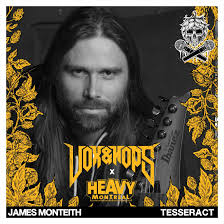 James Monteith (TesseracT)