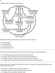 Flow Chart Of Pond Ecosystem Diagram Nationalphlebotomycollege