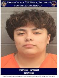 CONSTABLES CAPTURE 5 SUSPECTS WHO BROKE INTO A LOCAL BUSINESS On December  18, 2024, deputies with Constable Mark Herman's Office responded to a  business located at 22557 Aldine Westfield Road in reference