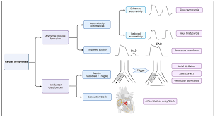 A Predictive In Vitro Risk Assessment Platform For Pro-Arrhythmic Toxicity  Using Human 3D Cardiac Microtissues | Scientific Reports