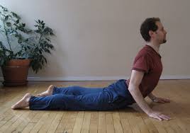 Image result for CObra Pose